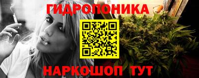 2c-b Новозыбков
