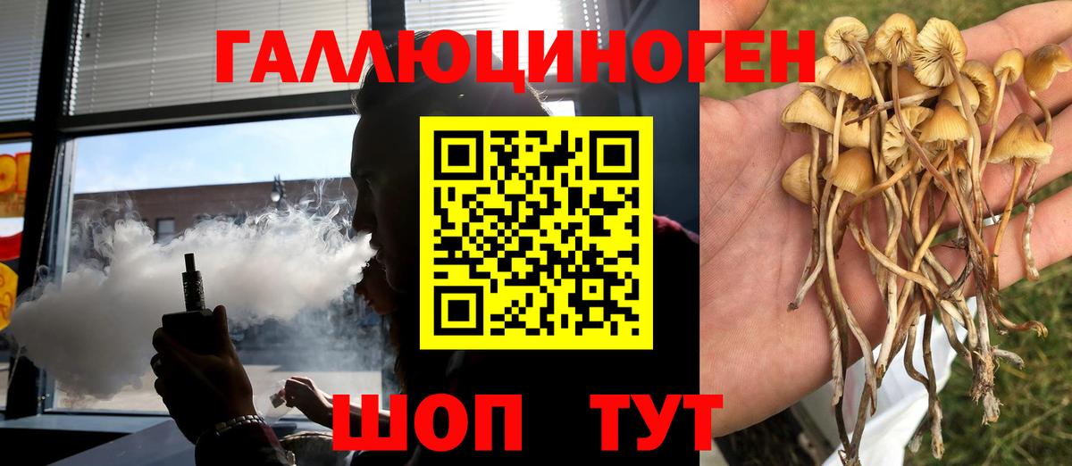 Псилоцибиновые грибы MAGIC MUSHROOMS  Вход с VPN  Строитель 
